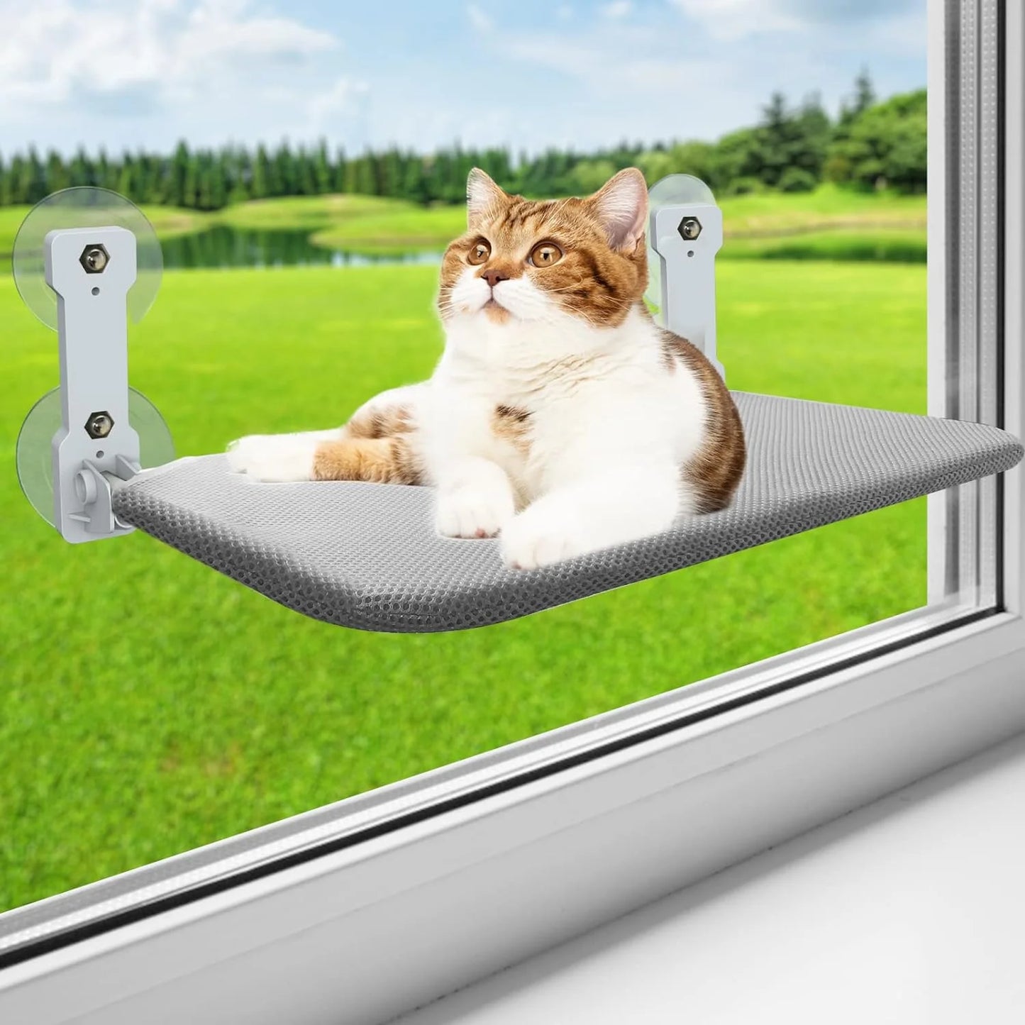 Cat Window Perch,  Kitten Hammock & Shelf for Wall ,Foldable Pet Beds for Indoor Cat, Gray